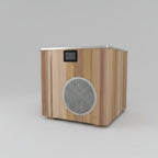 The Wood & Steel Plunge